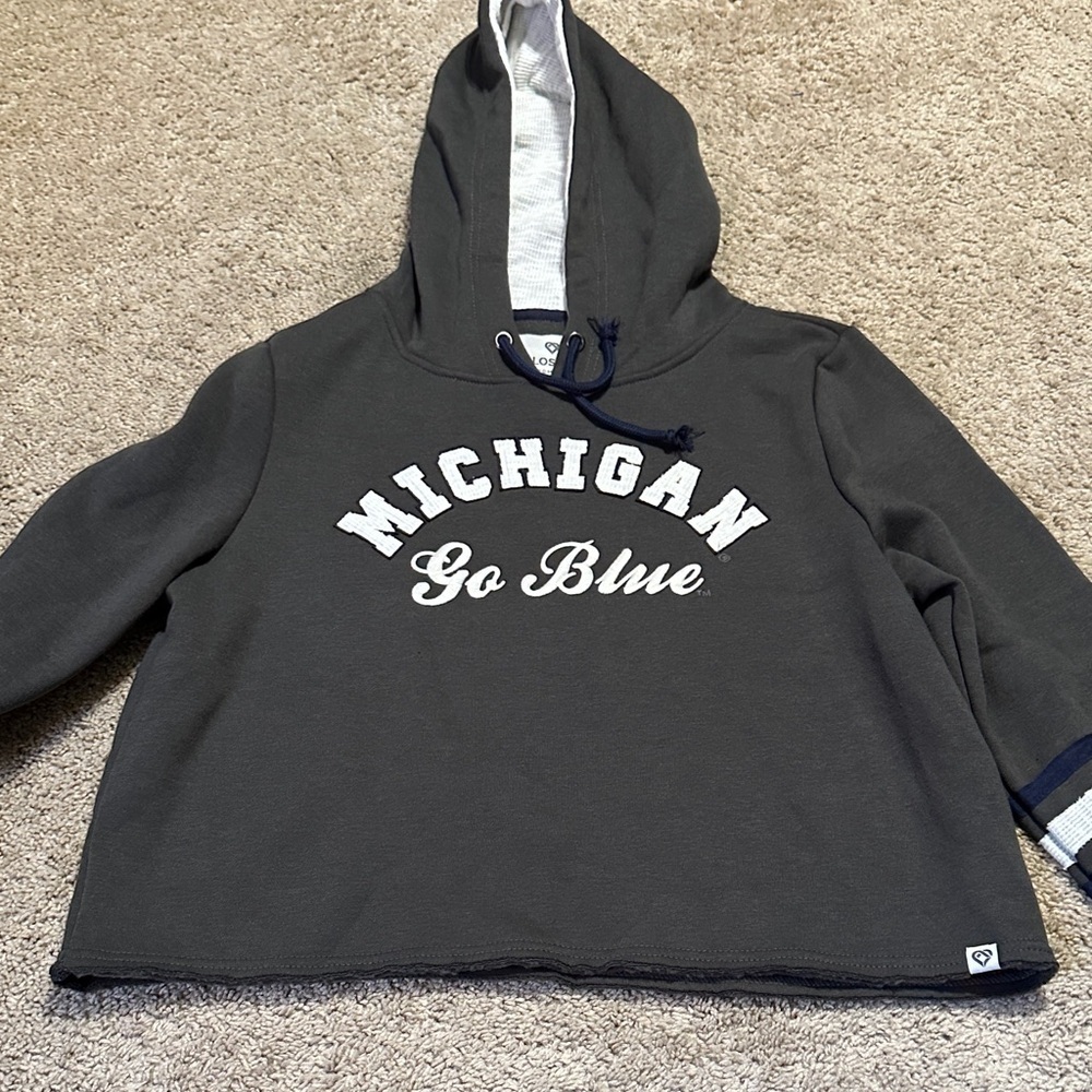 Colosseum Michigan Wolverines Sweatshirt Hoodie Large NWT
